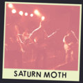 Saturn Moth image