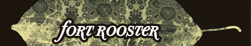 Fort Rooster — Photo