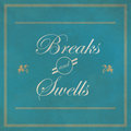 Breaks and Swells image