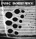 Post Dominance image