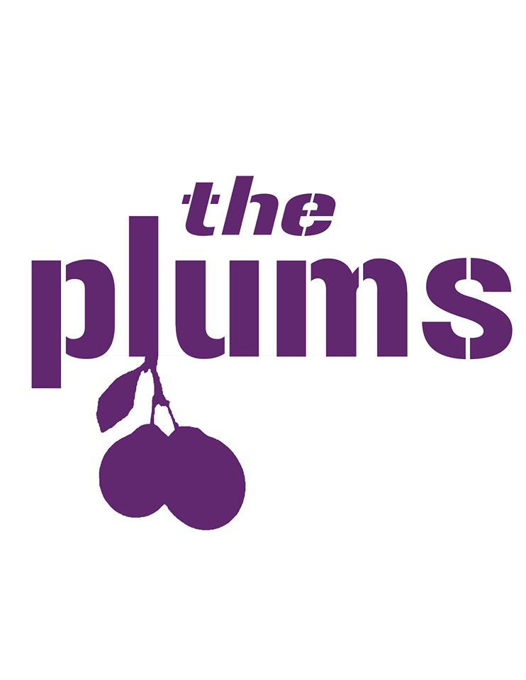 Live at Sign Of The Wagon 6/6/14 The Plums