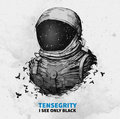 Tensegrity image