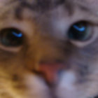 Jamie Tucker thumbnail