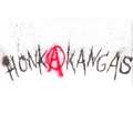 Honkakangas image
