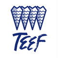 TEEF image