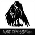 Manic Depression Records image