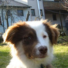 Tomas Kupcik thumbnail