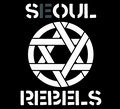 Seoul Rebels image