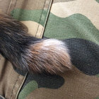 beardyjack thumbnail