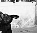 The King of Monkeys image