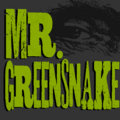 Mr. Greensnake image