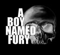 A Boy Named Fury image