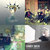 John Walker thumbnail