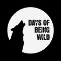 Days Of Being Wild image
