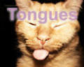 Tongues image