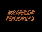 Wildbirds & Peacedrums Bronze on Black T-Shirt photo 