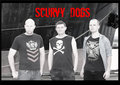 Scurvy Dogs image