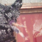 textahead thumbnail