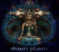 Shanti Planti Charity image