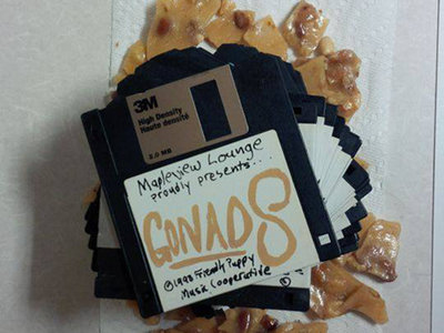 Gonads - Floppy Disk main photo