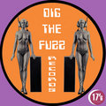 DIG THE FUZZ Records image