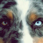 Max Taylor thumbnail