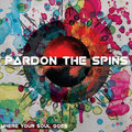 Pardon The Spins image
