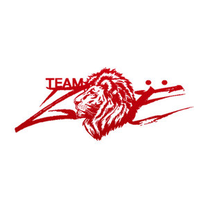 Team Zoë — Photo · logo