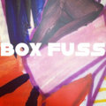 Box Fuss Recordings image
