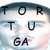 tortuge thumbnail