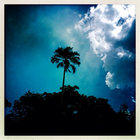 follow the sun thumbnail