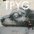 Peter James thumbnail