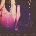 Dear Fawn image