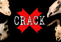 Crack image