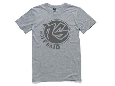 NS Logo T-Shirt (grey) XL main photo