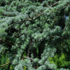 ermhoi thumbnail