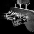 Toby Holcomb thumbnail