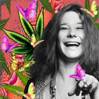 Dawn Vanderpool thumbnail