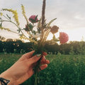 Sympathy Flowers — Photo