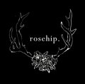 rosehip image