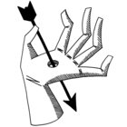 Asperilla thumbnail