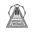 Carbonated Lemonade image