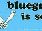"Bluegrass is Sexy" sticker photo 