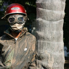 Tuculuxu thumbnail