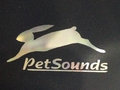Pet Sounds image