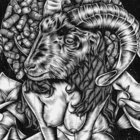 Trabalder thumbnail