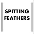 Spitting Feathers image