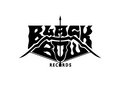 Black Bow Records image