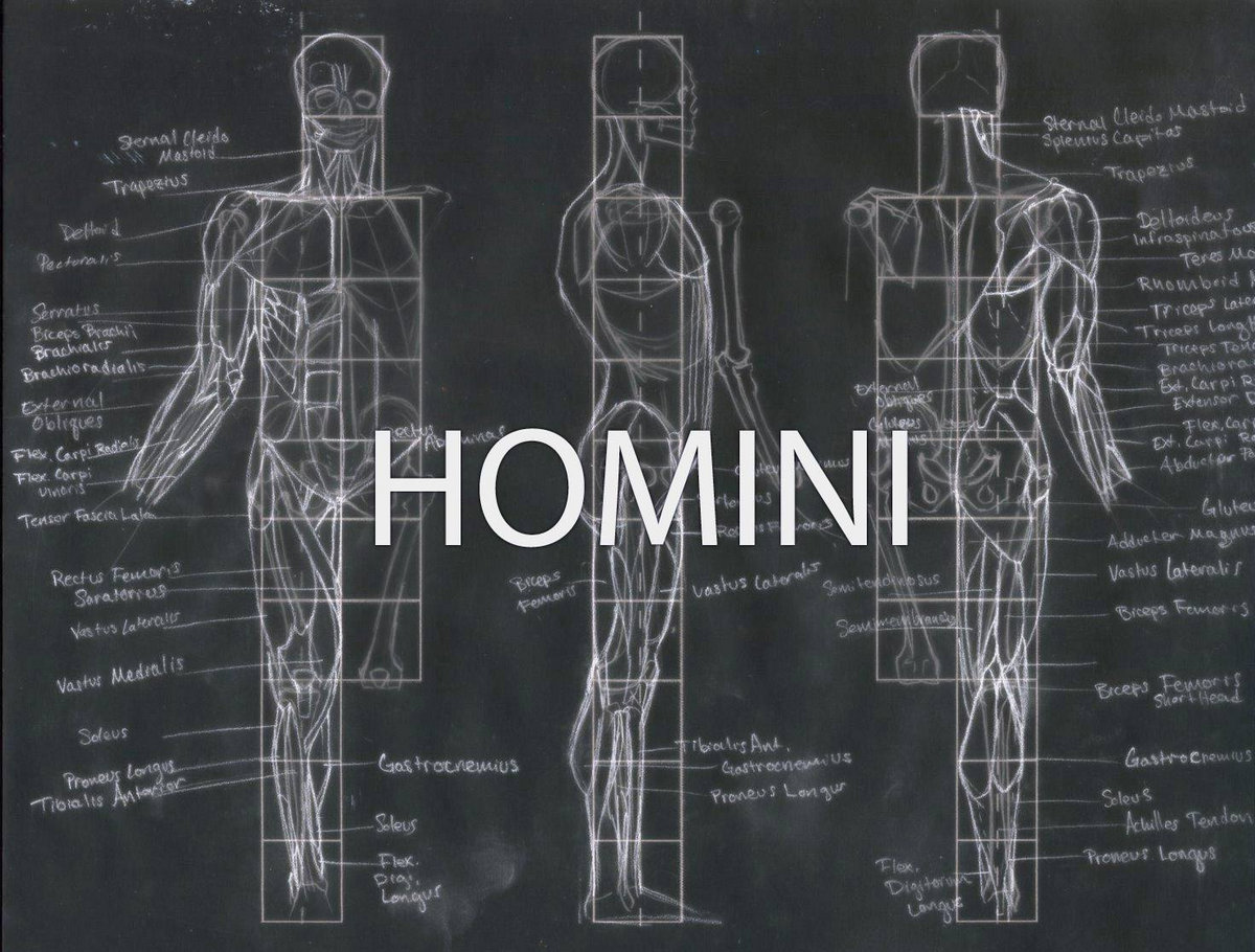 Music | HOMINI