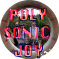 Polysonic Joy image